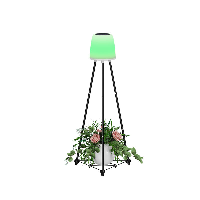 0.2W Luci solari per la decorazione di Natale 0.3kg Scatola interna Dimensione 22*20*40.5CM G.W 1.9KG
