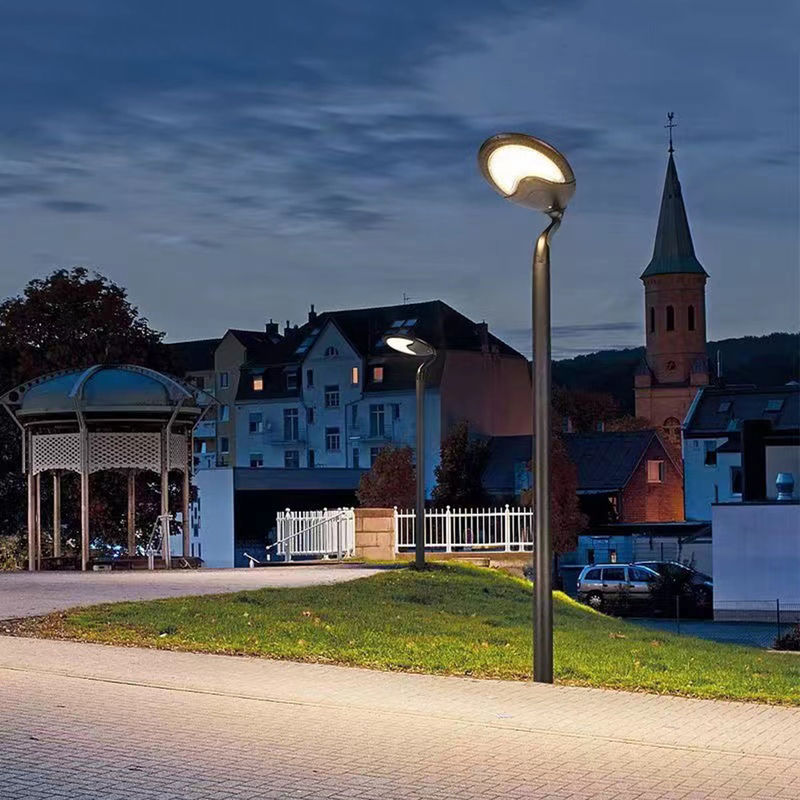 Luci solari del giardino del cortile 25W LED della via per la centrale elettrica solare di uso domestico