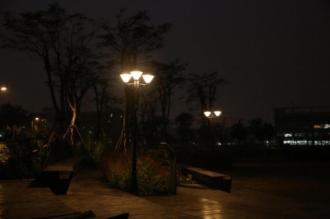 Luce a energia solare del prato inglese per le luci globali di alba del giardino