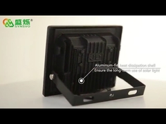 Luce di inondazione della luce LED del giardino LED con l'inondazione solare all'aperto Light-8810 di approvazione IP67 di CE&RoHs